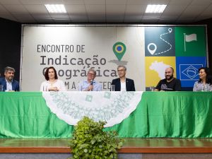 2024 - Encontro de Indicação Geográfica com a Rede Federal - Segundo dia - 5 de setembro